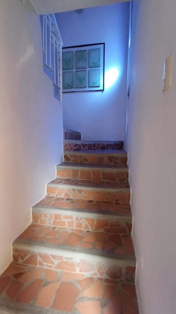 las flores (17)