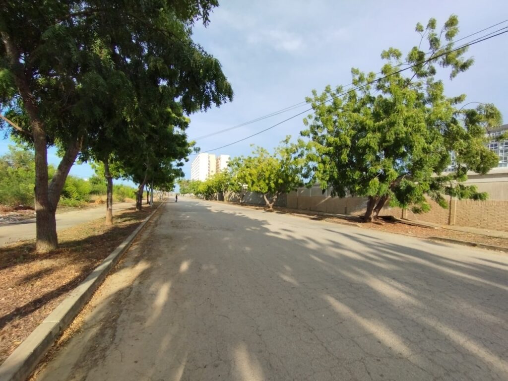 SECTOR DUMAR (14)