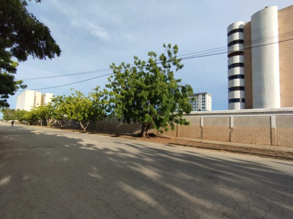 SECTOR DUMAR (15)