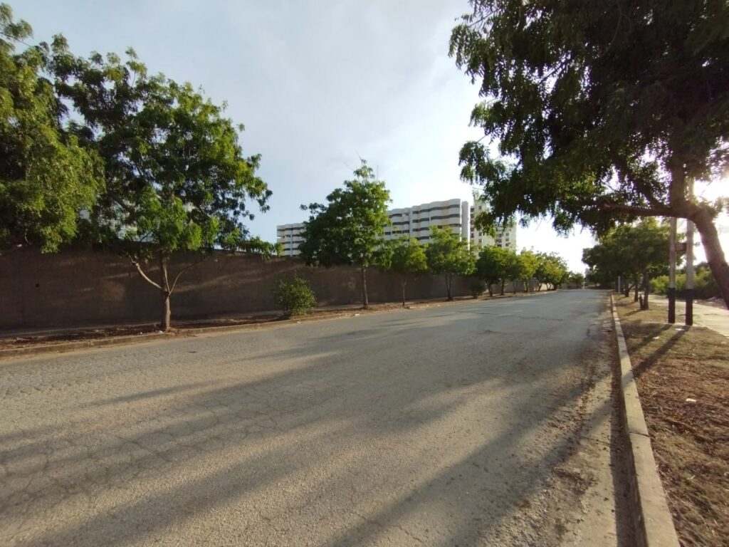 SECTOR DUMAR (22)