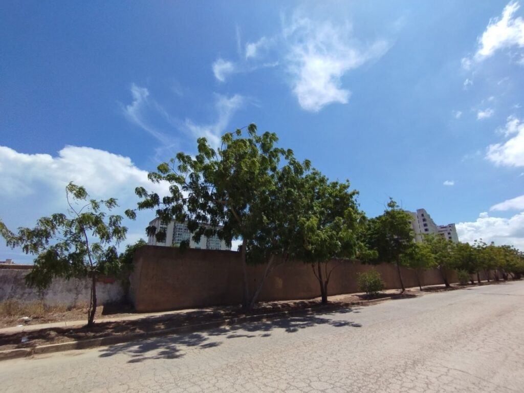 SECTOR DUMAR (9)