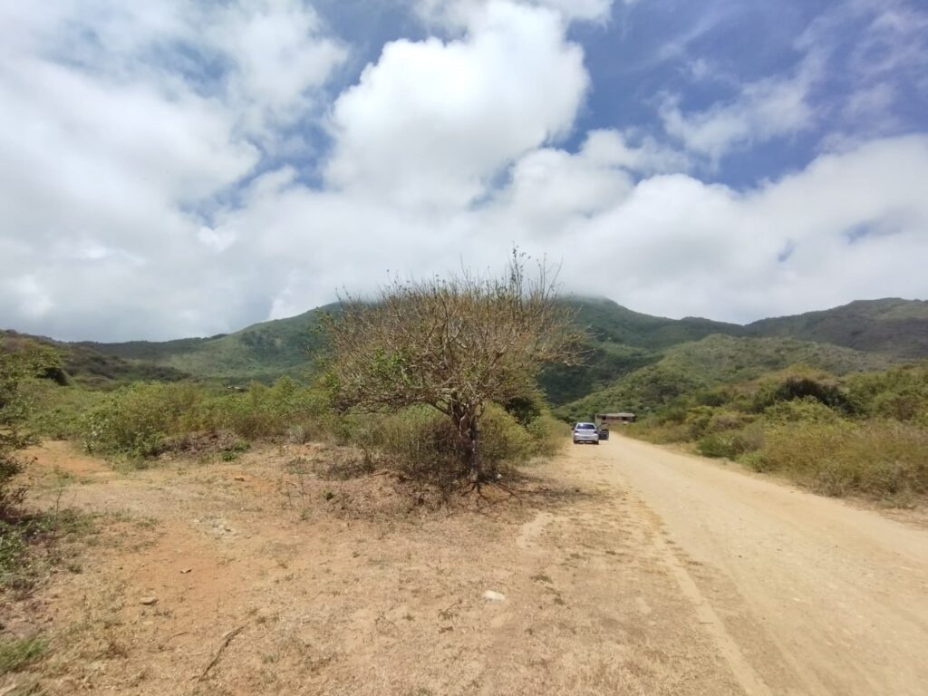 ARICAGUA (10)