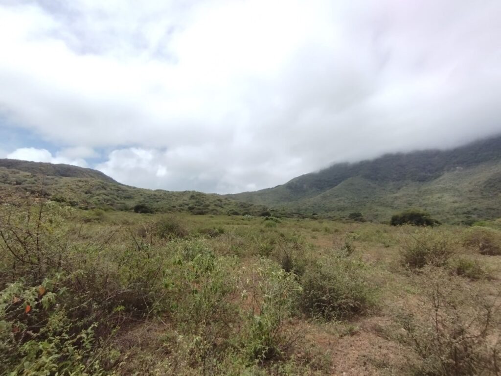 ARICAGUA