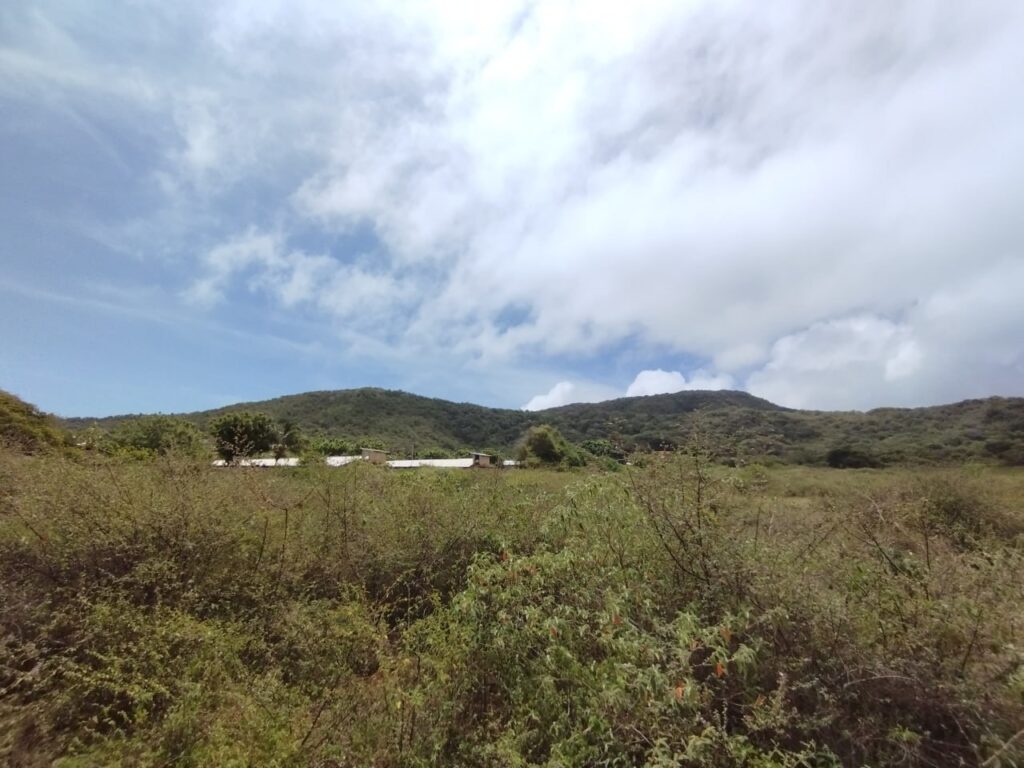 ARICAGUA (5)