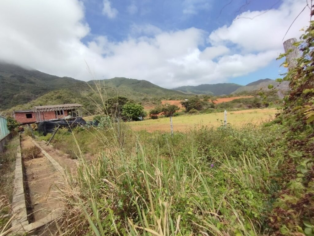 ARICAGUA (9)