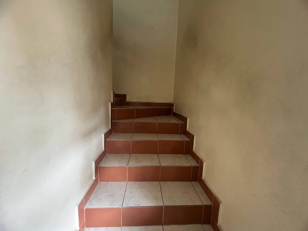 CASITAS BLANCAS (19)