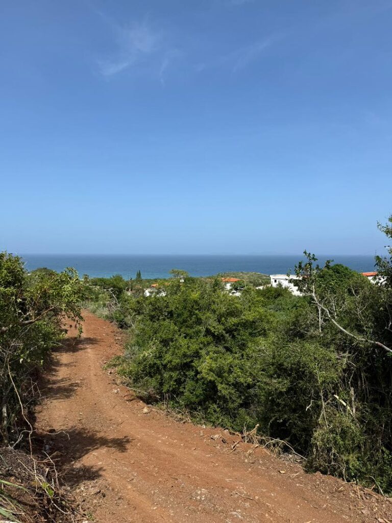 WhatsApp Image 2026-02-05 at 1.42.47 PM (1)