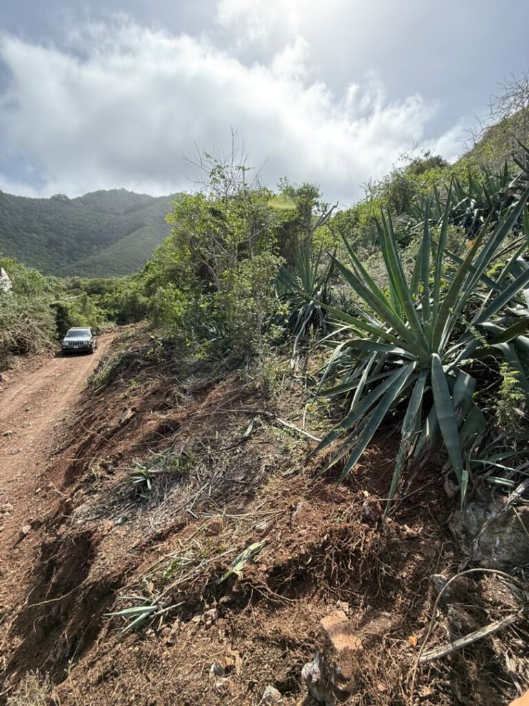 WhatsApp Image 2026-02-05 at 1.42.47 PM (2)