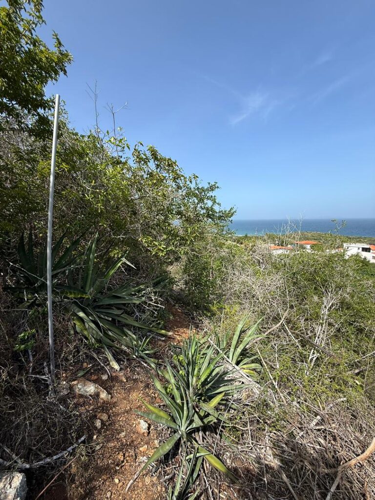 WhatsApp Image 2026-02-05 at 1.42.47 PM (3)