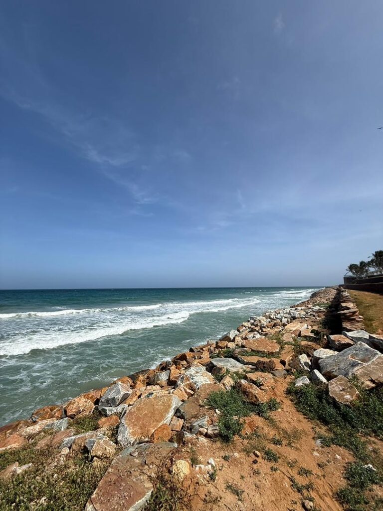 WhatsApp Image 2026-02-05 at 1.42.48 PM (3)