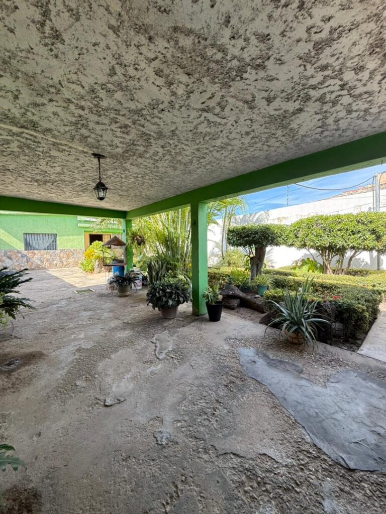 WhatsApp Image 2026-03-19 at 12.25.39 PM (3)