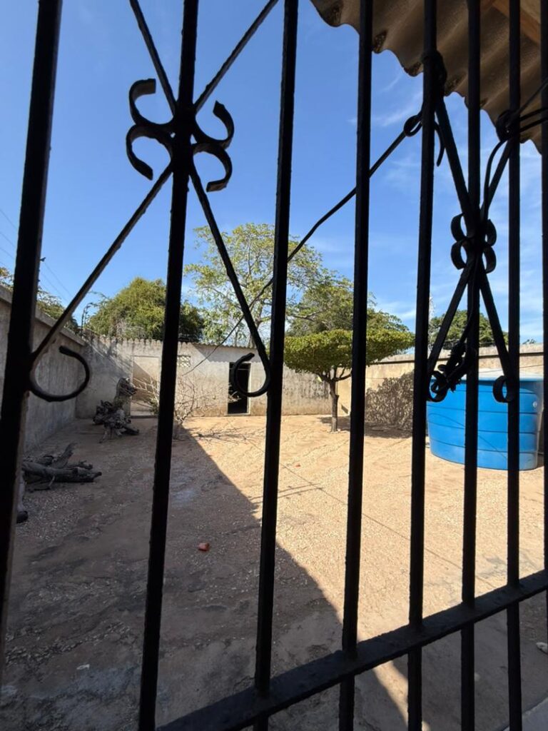 WhatsApp Image 2026-03-19 at 12.25.41 PM (6)