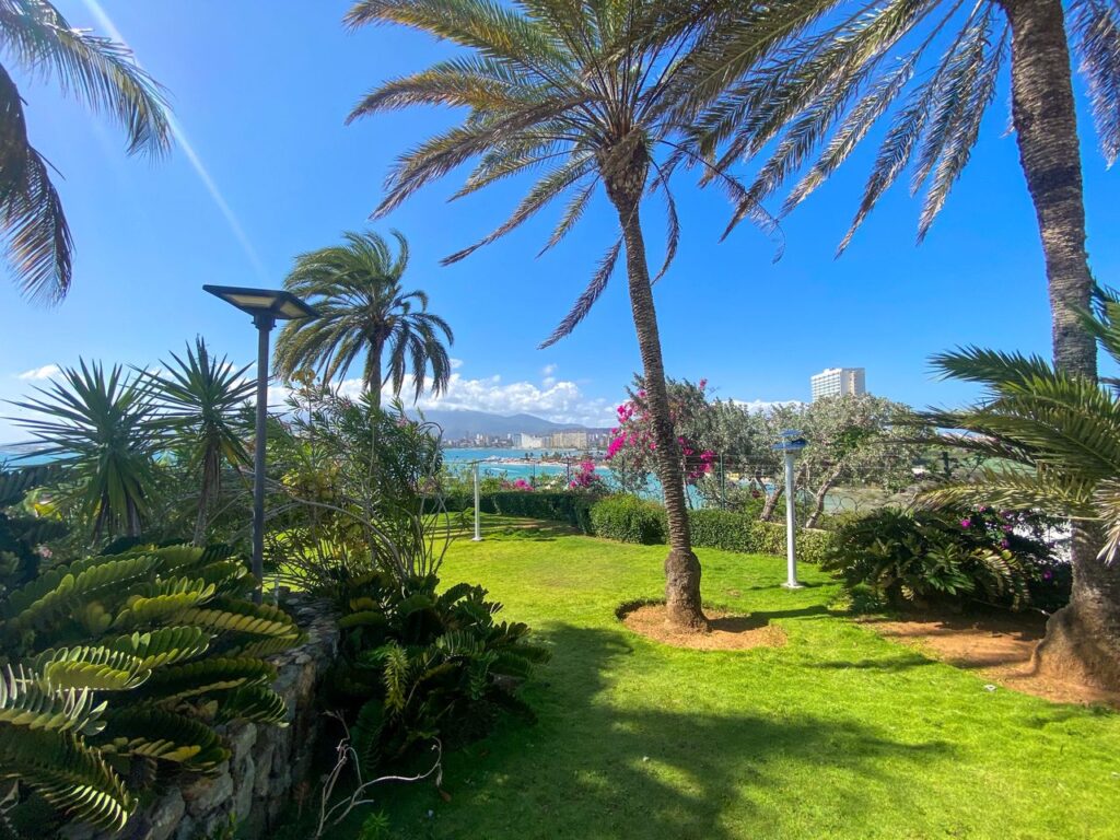 WhatsApp Image 2026-03-24 at 3.44.15 PM