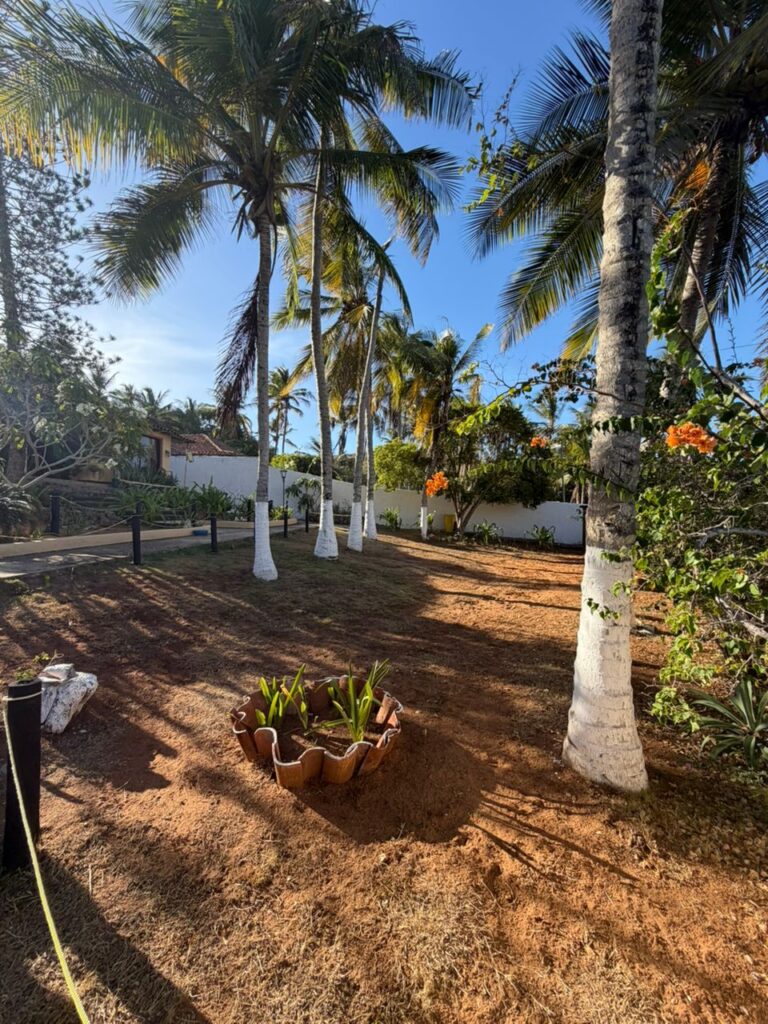 WhatsApp Image 2026-03-27 at 10.22.29 (1)