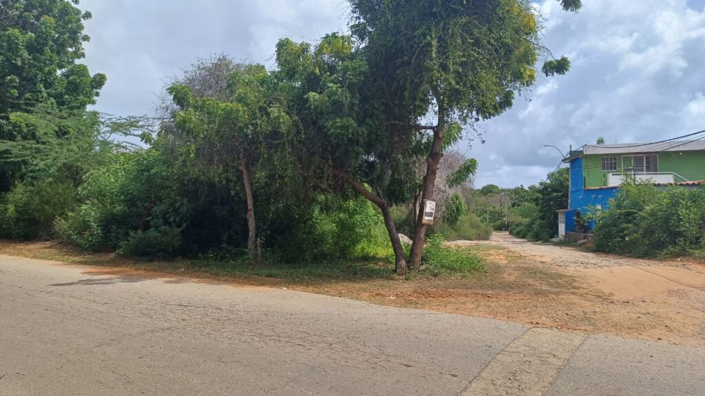 Terreno en guacuco (14)