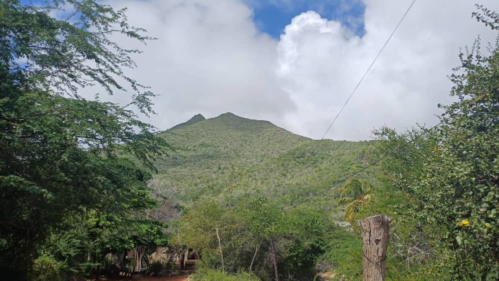 Terreno en guacuco (16)