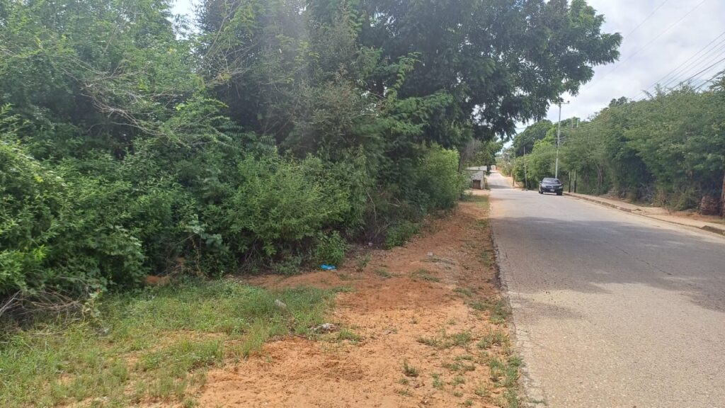 Terreno en guacuco (17)