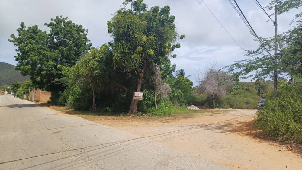 Terreno en guacuco (18)
