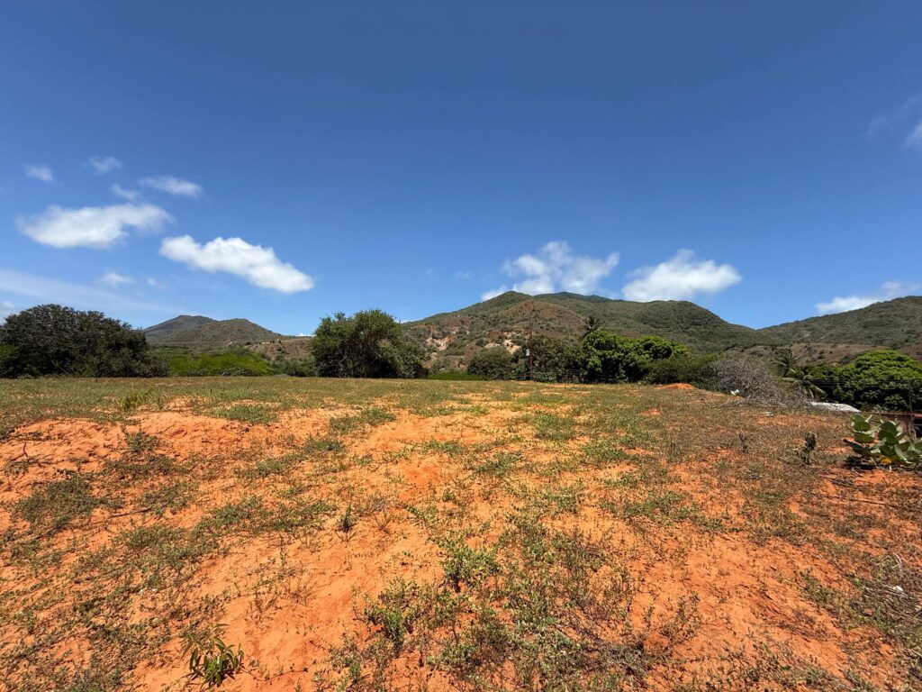 5186270149655333900
